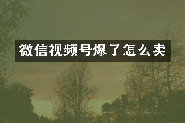 微信视频号爆了怎么卖