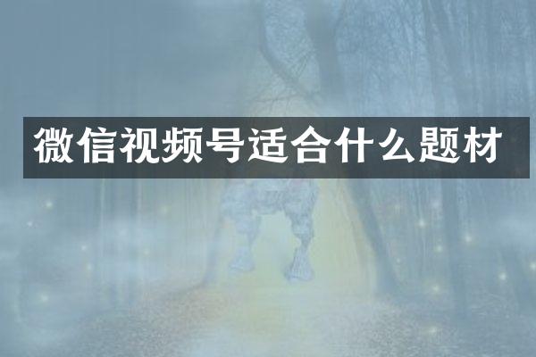 微信视频号适合什么题材
