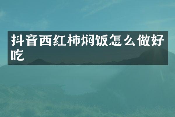 抖音西红柿焖饭怎么做好吃