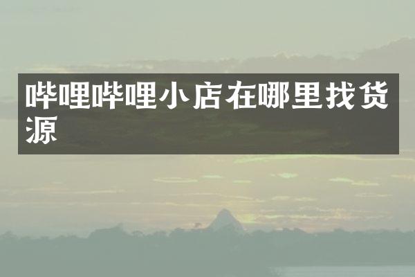 哔哩哔哩小店在哪里找货源
