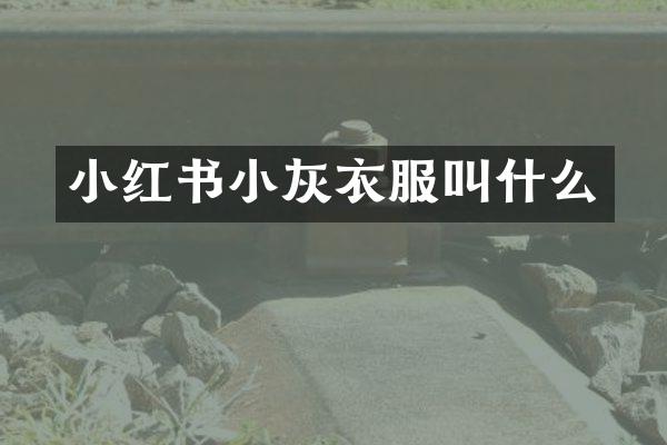 小红书小灰衣服叫什么