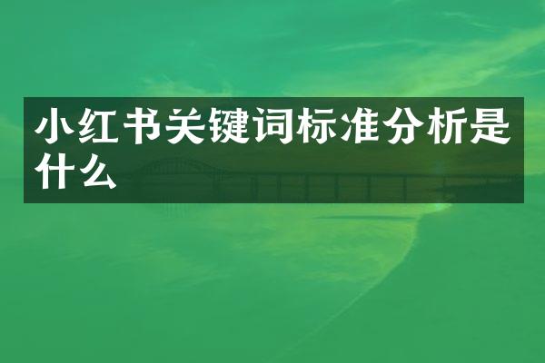 小红书关键词标准分析是什么