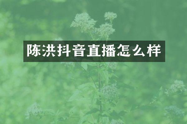 陈洪抖音直播怎么样