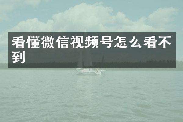 看懂微信视频号怎么看不到