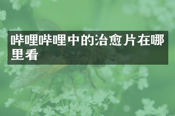 哔哩哔哩中的治愈片在哪里看