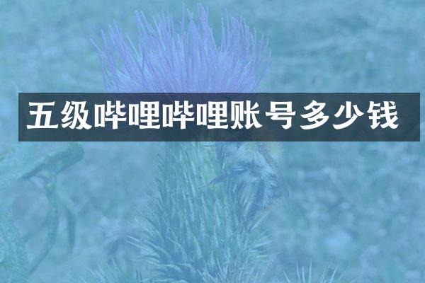 五级哔哩哔哩账号多少钱