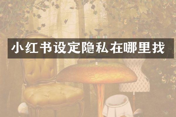 小红书设定隐私在哪里找