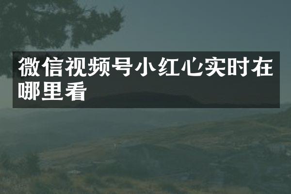 微信视频号小红心实时在哪里看