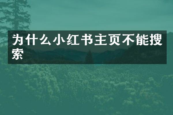 为什么小红书主页不能搜索