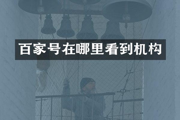 百家号在哪里看到机构
