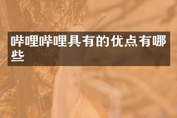 哔哩哔哩具有的优点有哪些