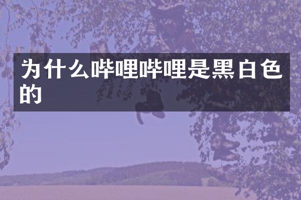 为什么哔哩哔哩是黑白色的