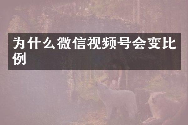 为什么微信视频号会变比例