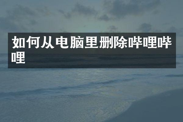 如何从电脑里删除哔哩哔哩