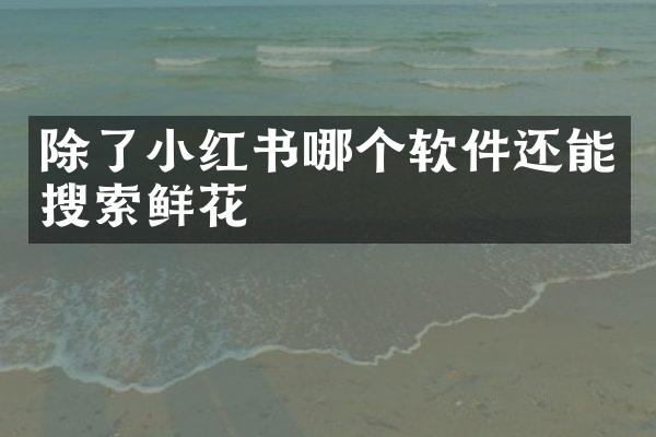 除了小红书哪个软件还能搜索鲜花