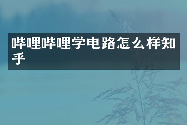 哔哩哔哩学电路怎么样知乎