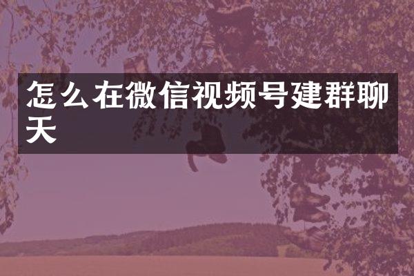 怎么在微信视频号建群聊天