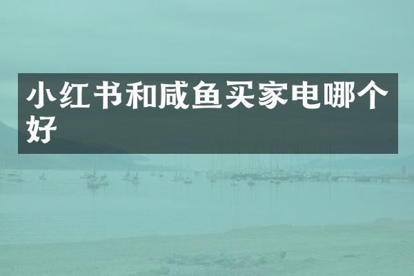 小红书和咸鱼买家电哪个好