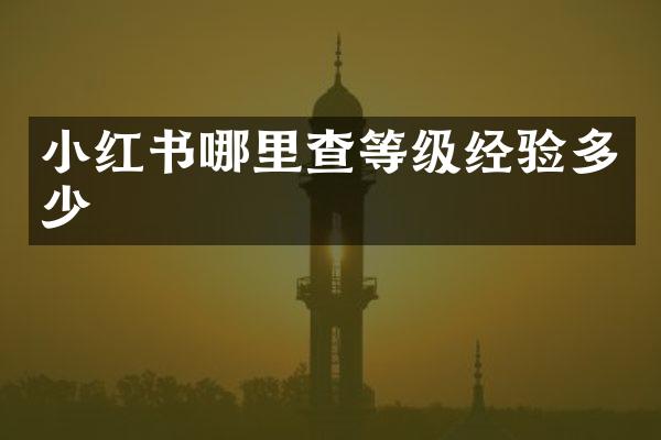 小红书哪里查等级经验多少