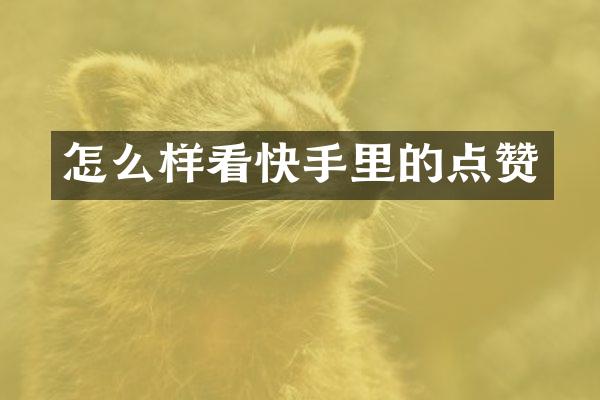 怎么样看快手里的点赞