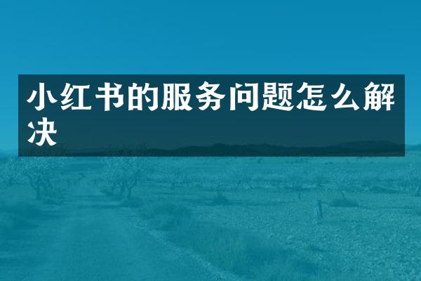 小红书的服务问题怎么解决