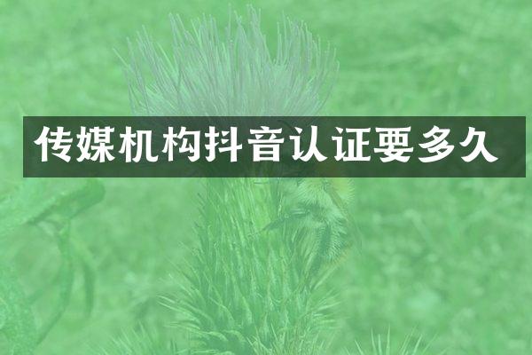 传媒机构抖音认证要多久