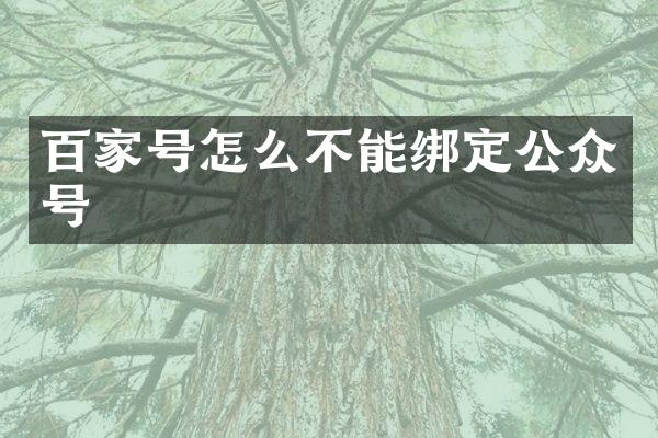 百家号怎么不能绑定公众号