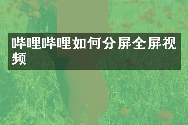 哔哩哔哩如何分屏全屏视频