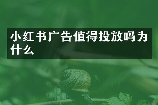小红书广告值得投放吗为什么