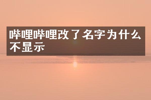 哔哩哔哩改了名字为什么不显示