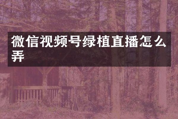 微信视频号绿植直播怎么弄