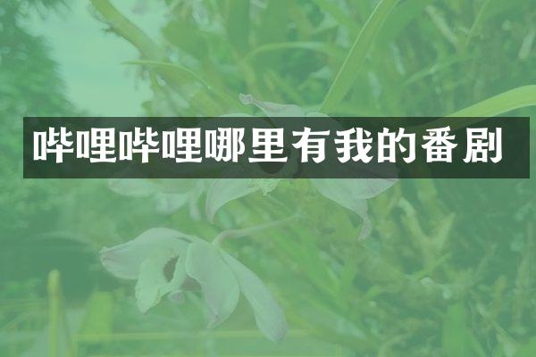 哔哩哔哩哪里有我的番剧