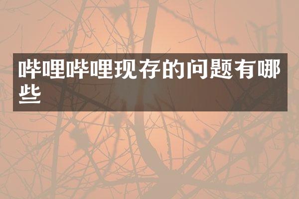 哔哩哔哩现存的问题有哪些