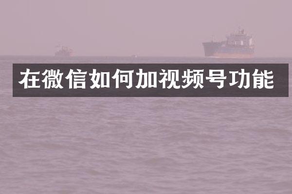 在微信如何加视频号功能