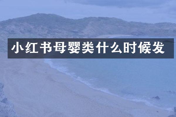 小红书母婴类什么时候发