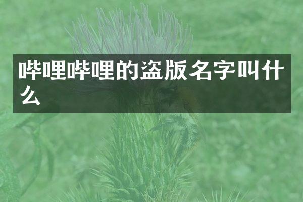 哔哩哔哩的名字叫什么