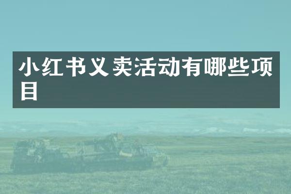 小红书义卖活动有哪些项目