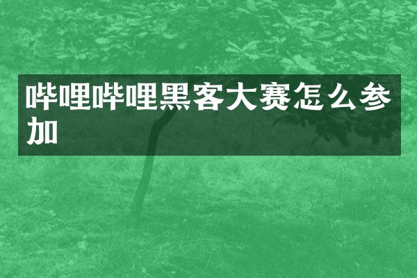 哔哩哔哩黑客大赛怎么参加