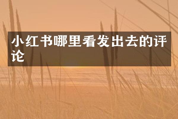 小红书哪里看发出去的评论