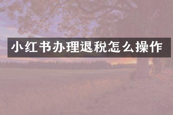 小红书办理退税怎么操作