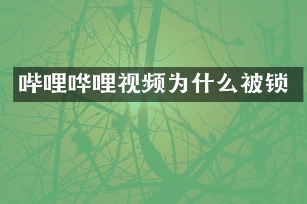 哔哩哗哩视频为什么被锁