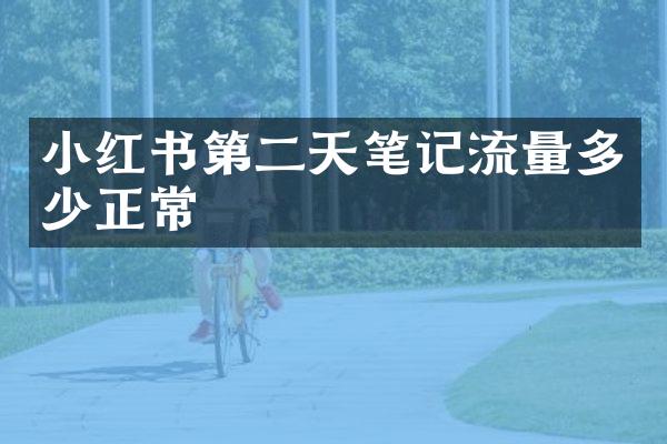小红书第二天笔记流量多少正常
