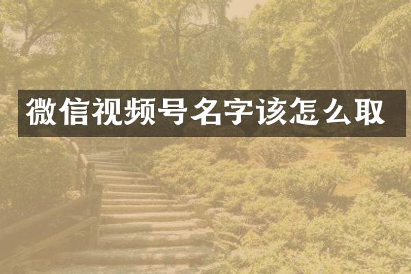 微信视频号名字该怎么取