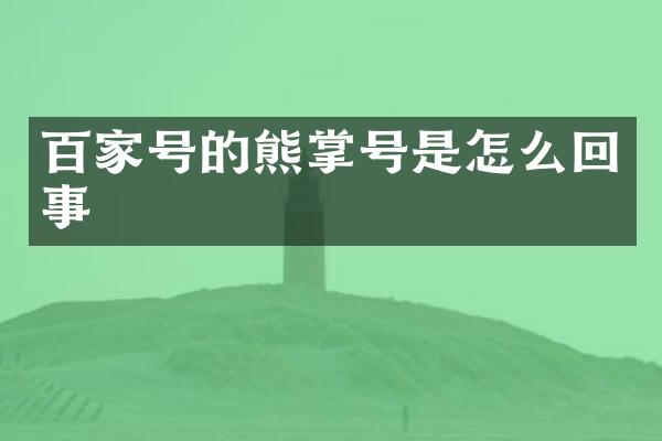 百家号的熊掌号是怎么回事