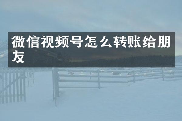 微信视频号怎么转账给朋友