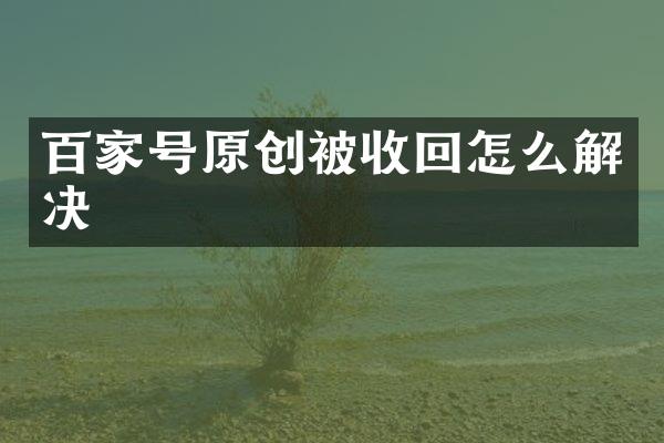 百家号原创被收回怎么解决