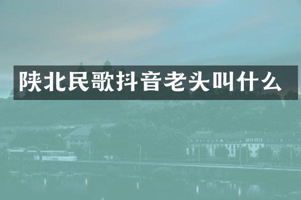 陕北民歌抖音老头叫什么