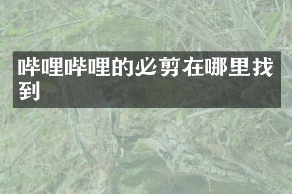 哔哩哔哩的必剪在哪里找到