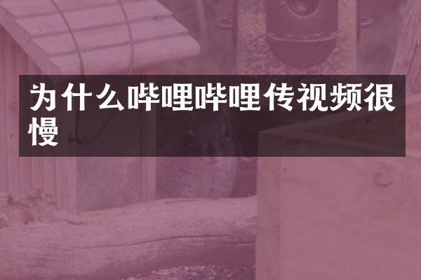 为什么哔哩哔哩传视频很慢