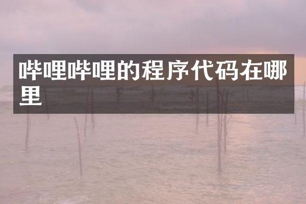 哔哩哔哩的程序代码在哪里